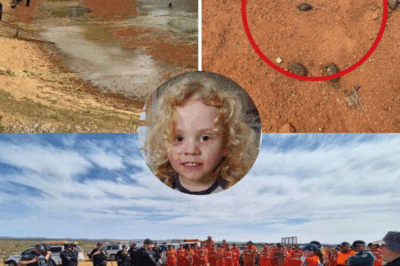 A Child in the Wilderness: The Unsolved Search for Gus