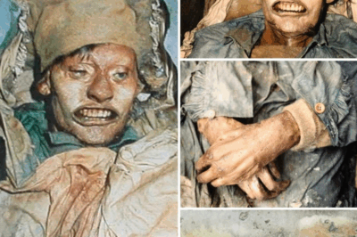 Whispers from the White Silence: The Last Days of HMS Erebus and Terror