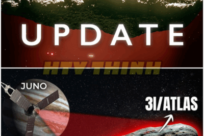 🐿️ 3I/ATLAS Just Got Stranger: 😳 Astronomers Left Speechless as Mysterious Interstellar Visitor Defies All Logic, Sparks Wild Alien Theories and Heated Scientific Feuds – Is This the Cosmic Game-Changer No One Saw Coming? 😱 🚨
