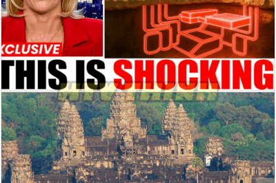 🐿️ SECRETS UNSEALED 🛕 Archaeologists STUNNED by Hidden Vault Beneath ANGKOR WAT—A Discovery So SHOCKING It Could CHANGE HISTORY Forever! ⚡