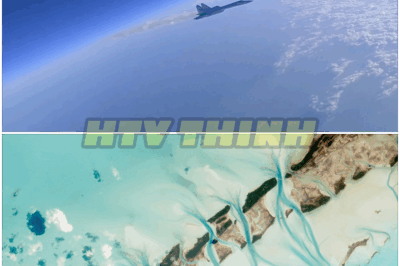 🐿️ OUT OF THIS WORLD ✈️ Astronauts STUNNED After Spotting a PLANE Drifting in SPACE—But What They Saw Up Close Left NASA SPEECHLESS! 🌌