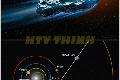 🐿️ BREAKING: 3I/ATLAS Stays Beyond Earth’s Orbit At Closest To Sun – Stunning Astronomical Twist 🌞, Scientists Baffled, Alien Origin Theories Surge, and Space Agencies Scramble as Mysterious Comet Defies Expectations and Reveals Shocking Secrets About Its True Nature! 🚀😳