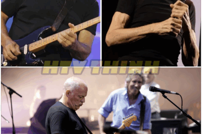 🐿️ ROCK LEGENDS AT WAR 🎸: David Gilmour, Now 78, FINALLY SPEAKS OUT on Roger Waters’ “DESTRUCTION” of Pink Floyd — Hidden Feuds, Broken Friendships, and the Truth Fans Were NEVER Supposed to Hear!🔥