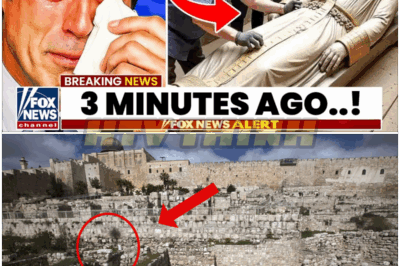 🐿️ King Solomon’s Tomb FINALLY Unsealed After 5,000 Years – Jaw-Dropping Treasures Unearthed 👑, Ancient Curses Awakened, and Frenzied Power Struggles Erupt as World Leaders, Secret Societies, and Desperate Treasure Hunters Clash Over History’s Most Legendary Burial! 🏺😱