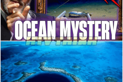 🐿️ The Strangest Creature Ever Discovered in the Mariana Trench – Bizarre Deep-Sea Monster Unveiled 🦑, Scientists Stunned, Internet Explodes With Wild Theories, and Marine Biologists Panic as Unimaginable Evolutionary Nightmare Crawls Out of the Abyss! 🌊😱