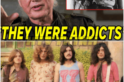 🐿️ LEGEND UNLEASHED ⚡: Jimmy Page FINALLY REVEALS What REALLY Happened With Led Zeppelin — Dark Secrets, Broken Bonds, and the Untold TRUTH Behind the Band That Defined Rock Eternity!🔥