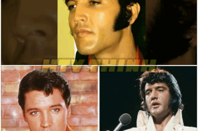 🐿️ THE KING’S SECRET EXPOSED 👑: Elvis Presley’s HAIR Was a LIE — and the HEARTBREAKING TRUTH Behind His Iconic Look Reveals a Hidden Struggle the World Never Knew!💔🔥