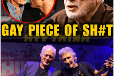🐿️ At 79 🎸 David Gilmour FINALLY EXPOSES Roger Waters 😱 — The TRUTH Behind Pink Floyd’s BITTER SPLIT, Years of SILENCE, and the SHOCKING BETRAYAL Fans Never Knew About! 🔥