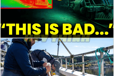 🐿️ FROZEN NIGHTMARE 🚂 Underwater Drone Approaches Lost Locomotive 3512—What Canadian Scientists SAW Beneath the Ice TERRIFIED the World! ❄️