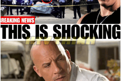 🐿️ They Opened Vin Diesel’s Garage… And What They Found Inside Will SHOCK You—Hollywood Secrets, Outrageous Collections, And The Hidden Side Of Fast & Furious Fame EXPOSED! 😱🚗 – Diesel’s Bizarre Treasures, Mysterious Memorabilia, And The Wild Truth That Left Insiders Speechless! 🏁