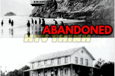 🐿️ What REALLY Happened to the Cliff House? – 🏚️ Secret Deals, Mysterious Disappearances, and a Web of BETRAYAL That Turned San Francisco’s Iconic Landmark into a Hotbed of Scandal and Suspicion! 🌊🔥