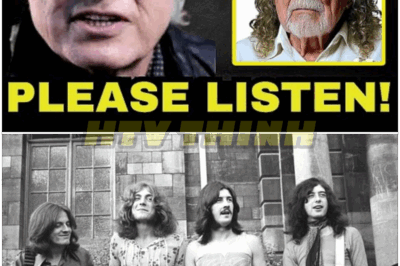 🐿️ ROCK LEGEND REVELATION: Jimmy Page FINALLY CONFESSES 😱 Why Robert Plant DESTROYED Led Zeppelin — Ego Wars, Broken Trust, and the SECRET Rift That Tore the World’s Greatest Band Apart!🔥