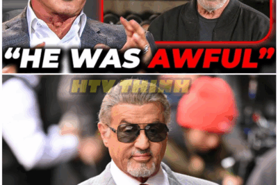 🦊 “Top 6 Actors Sylvester Stallone SECRETLY HATED — The Explosive Hollywood Feuds He Kept Hidden for Decades Will Leave You STUNNED 😡🎬”