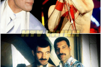 🐿️ Devastating Details About The Day Freddie Mercury Died — 😢🎤 Heartbreak, Betrayal, and Shocking Secrets Ripple Through Queen’s Inner Circle as the Legend’s Final Hours Unfold!
