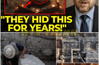 🐿️ “Before I Die, Please Listen” ⚱️ — Dr. Graham Phillips BREAKS HIS SILENCE With a Chilling Revelation: The Lost Tomb of the Ark of the Covenant Has Been FOUND, and History Will NEVER Be the Same! 🔥📜