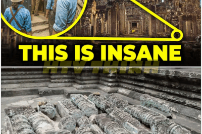 🐿️ They Just FOUND a HIDDEN VAULT Beneath Angkor Wat 😱 — What’s Inside Could REWRITE the History of Civilization Forever! 🐉⚡️