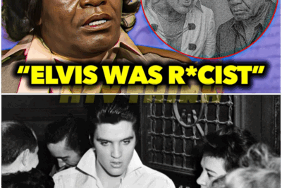 🐿️ Unseen James Brown Interview EXPOSES the TRUTH About Elvis Presley—Shocking Revelations, Hidden Resentments, and Music Royalty’s Darkest Secrets Finally Unleashed! 🎤—Fame, Rivalry, and the King’s Legacy Under Fire! 👑