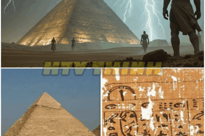 🐿️ Who REALLY Built The Pyramids? Ancient History’s Biggest Cover-Up—🏺 Secret Societies, Alien Architects, and Government Conspiracies Collide in a Mind-Blowing Revelation That Threatens to Rewrite Civilization’s Origins!