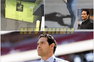 🐿️ Fox Sports implodes over ‘protected’ Mark Sanchez amid sick new stabbing video! Network Meltdown, Shocking Footage, and Scandalous Favoritism as Sanchez’s Shielded Status Sparks Outrage and Chaos Behind the Scenes! 📺🔪 – Is Fox Hiding the Truth or Is This the End of Sanchez’s Untouchable Image?