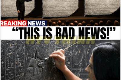 🐿️ They Just DECODED the ROSETTA STONE With AI 🤯 — And What It Reveals Has Scholars TERRIFIED and Historians Saying “This Changes EVERYTHING!” ⚡️📜