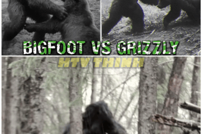 🦊 “‘NO ONE BELIEVED IT UNTIL NOW!’ Hunter Captures RARE Trail Cam Footage of BIGFOOT Battling a Bear — The SHOCKING Footage That Could Change Everything We Know About Cryptids 🐾🧡”
