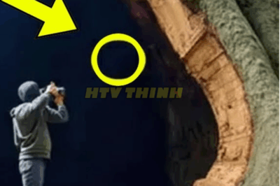 Man Cuts Open 300-Year-Old Tree — Turns Pale When He Sees What’s Inside