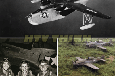 3 Fighter Pilots Vanished In 1944 — 75 Years Later, Their Planes Were Found Almost Intact…