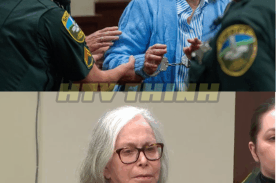 Donna Adelson sentenced to life in prison for role in Dan Markel murder