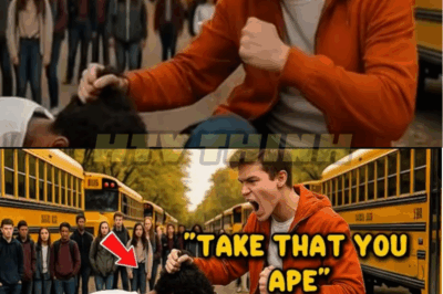 Racist Bully Knees New Black Boy in the Face — Had No Idea He Was a Trained Fighter