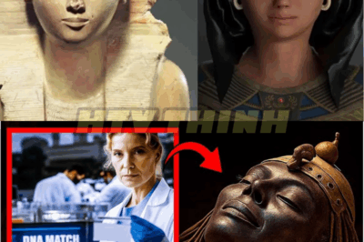 What They Found in Queen Hatshepsut’s DNA Reveals a Strange Discovery About the Egyptian Ruler