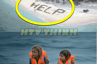 Helicopter Sees SOS on Beach—Who They Find Shocks Everyone