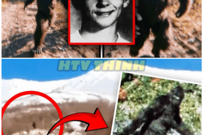 🦊 TERRIFYING BIGFOOT SIGHTING CAUGHT ON CAMERA: The Hiker’s Chilling Video That’s Rocking the Cryptid Community—What They Don’t Want You to See! 😱📹