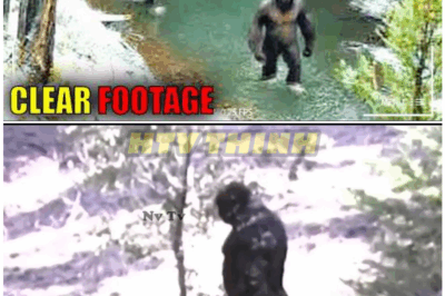 🦊 “UNSEEN UNTIL NOW: The 13 CLEAREST Bigfoot Videos EVER Captured—Why 2025 Might Be the Year We Finally EXPOSE the TRUTH 👣📹”