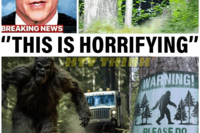🦊 PANIC in the Woods: Expedition Bigfoot Team Abandons Camp After Alleged Face-to-Face Encounter — Equipment Destroyed, Crew Shaken, and Network SILENCE Raises Eyebrows 🏃‍♂️🌲