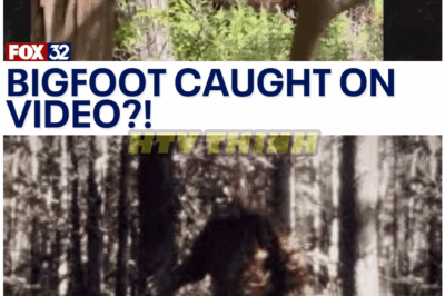 🦊 “WE CAN’T EXPLAIN THIS” — NEW BIGFOOT EVIDENCE EMERGES… AND IT’S THE MOST CONVINCING YET 😳