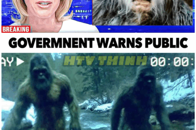 🦊 Expedition Bigfoot CANCELLED After NIGHTMARE Discovery in Remote Woods – Crew Ordered to STOP Filming IMMEDIATELY! 🚨🌲