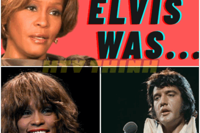 🐿️ Whitney Houston TALKS About Elvis Presley 😱 In a Surprising, Rare Interview — The King, The Inspiration, and the SHOCKING Connection No One Ever Knew 🎤🔥