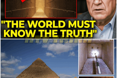 🐿️ Before I Die, I Must Tell The TRUTH 😱 — Zahi Hawass REVEALS What They Found Inside The Great Pyramid, And It Changes EVERYTHING We Thought We Knew About Ancient Egypt 🏺✨