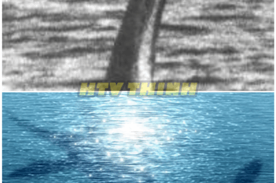 🦊 “Loch Ness Monster CAUGHT ON CAMERA — Clearest Footage in History Has Experts TERRIFIED” 📸