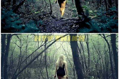 🦊 What This Hidden Forest Camera Captured at 3AM Will Haunt You Forever 👁️‍🗨️