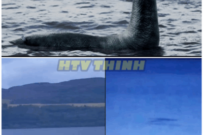 🦊 Try Not to Blink — Has the Loch Ness Monster FINALLY Been CAUGHT on Camera in BROAD DAYLIGHT?! The Footage That SHOOK Scotland to Its Core 🎥