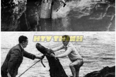 🦊 “Unearthed After Decades: The Most Shocking Loch Ness Monster Footage Ever Captured — Experts Silenced, Tapes Suppressed, and the Evidence They Didn’t Want You to See 📼🦕”