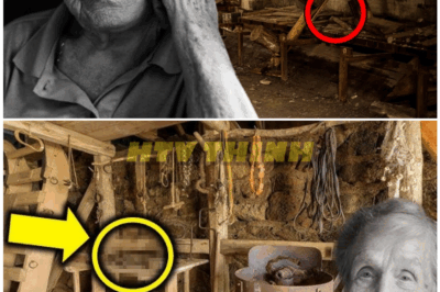 🦊 She Thought She Knew Everything About Him… Widow Discovers SHOCKING Secret Hidden in Husband’s Workshop — The Lie He Took to the Grave Has Fans STUNNED 😱🛠️