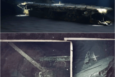 Underwater Drone FINALLY Found USS Hornet CV-8 At 17,000 Ft Depth — What Was Found Shocked Everyone