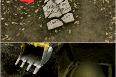 Grave Struck by Lightning Over 30 Times, What Hid Below Explained Everything…