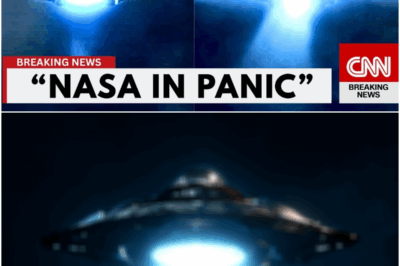 Voyager 1 Sent Back a Signal That Terrified NASA Scientists