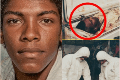 🧿 Teen Vanished in 1986 — 27 Years Later, a Trapdoor Under an Abandoned Sheep Pen Uncovered the Chilling Truth That Shattered a Small Town’s Peace and Exposed a Web of Dark Secrets, Lies, and Unimaginable Horror! 🐑🚪😱🔍🔥