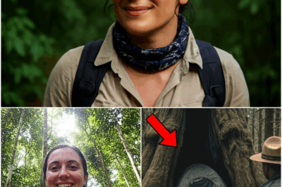Hiker Vanished Camping in Yosemite — 3 Years Later Rangers Find This Inside a Tree…