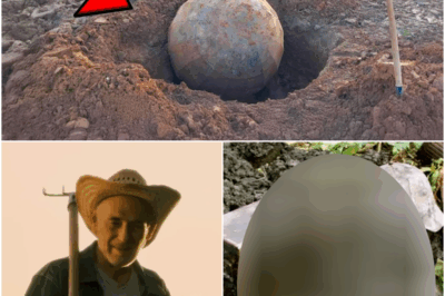 Farmer Found Huge Rock in Field, Gut Told Him to Dig It Out