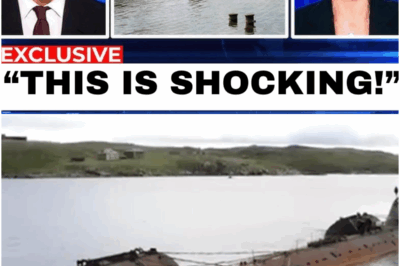 Experts Uncover Abandoned Soviet Nuclear Submarine Graveyard… And It’s Worse Than You Think